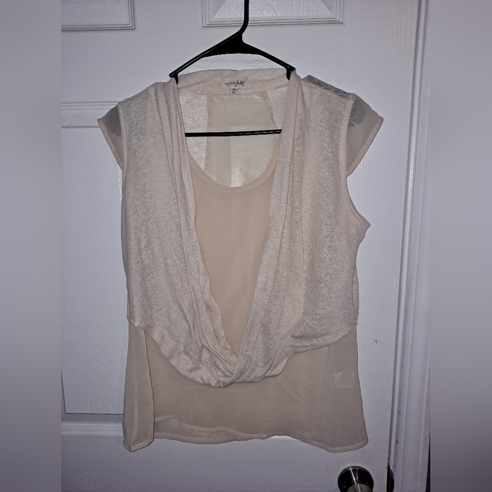 Sheer dressy shirt